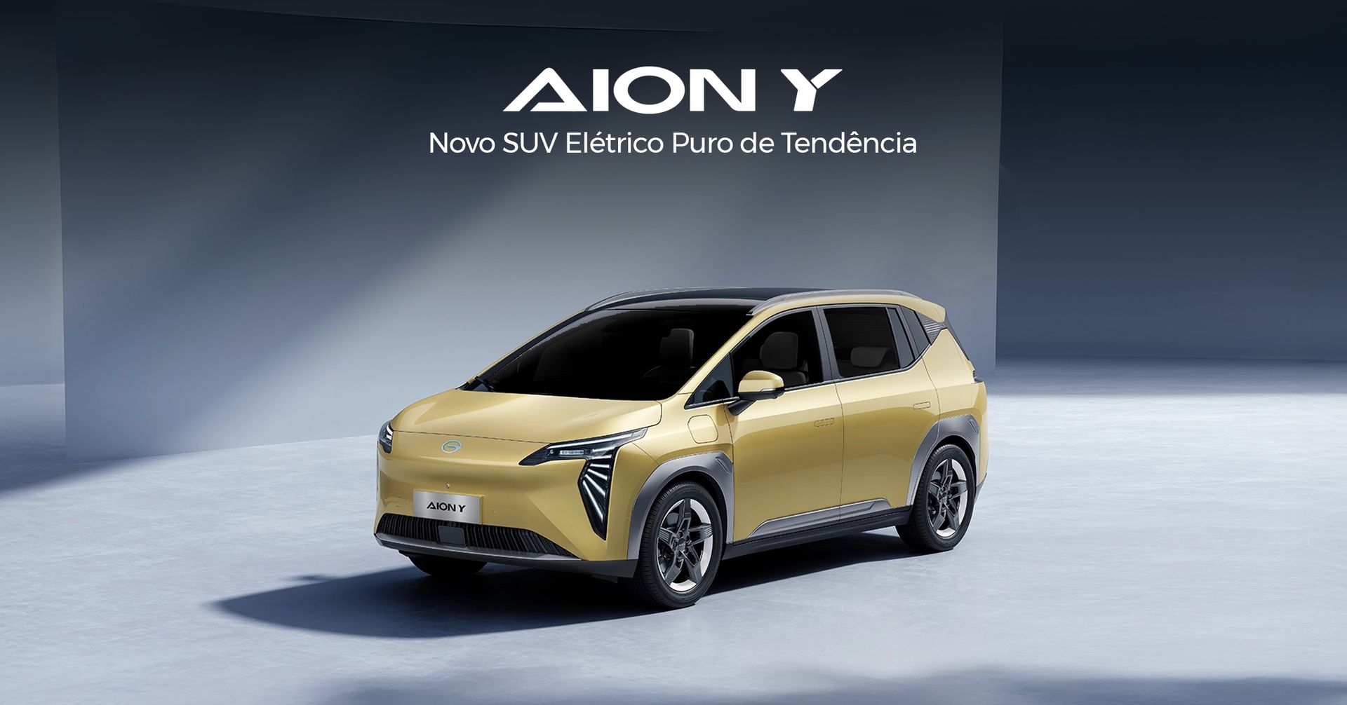 Aion Y