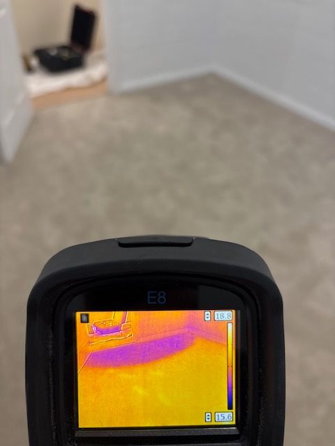 A person is holding a thermometer in their hand in front of a blue door.