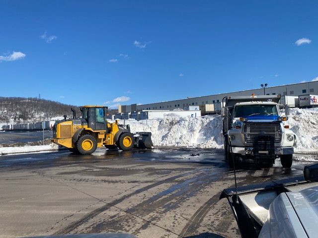 Snow-covered sidewalk next to evergreen bushes and a parking lot. Snow on the ground, overcast day.
