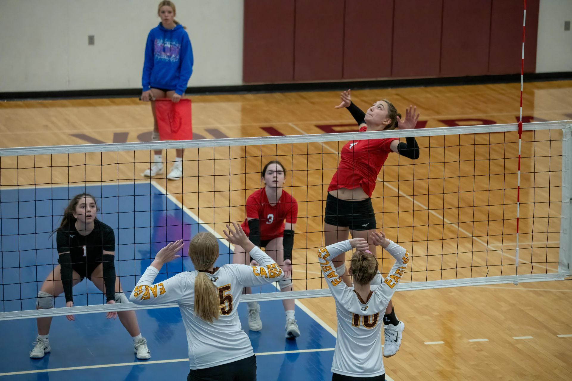 volleyball stock photo