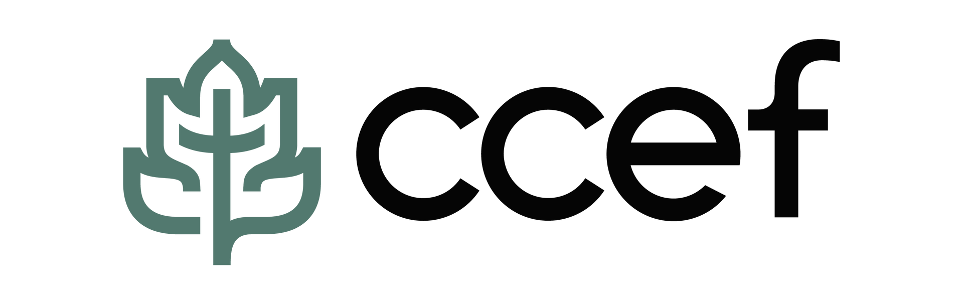 A logo for a company called ccef with a green leaf on a white background.