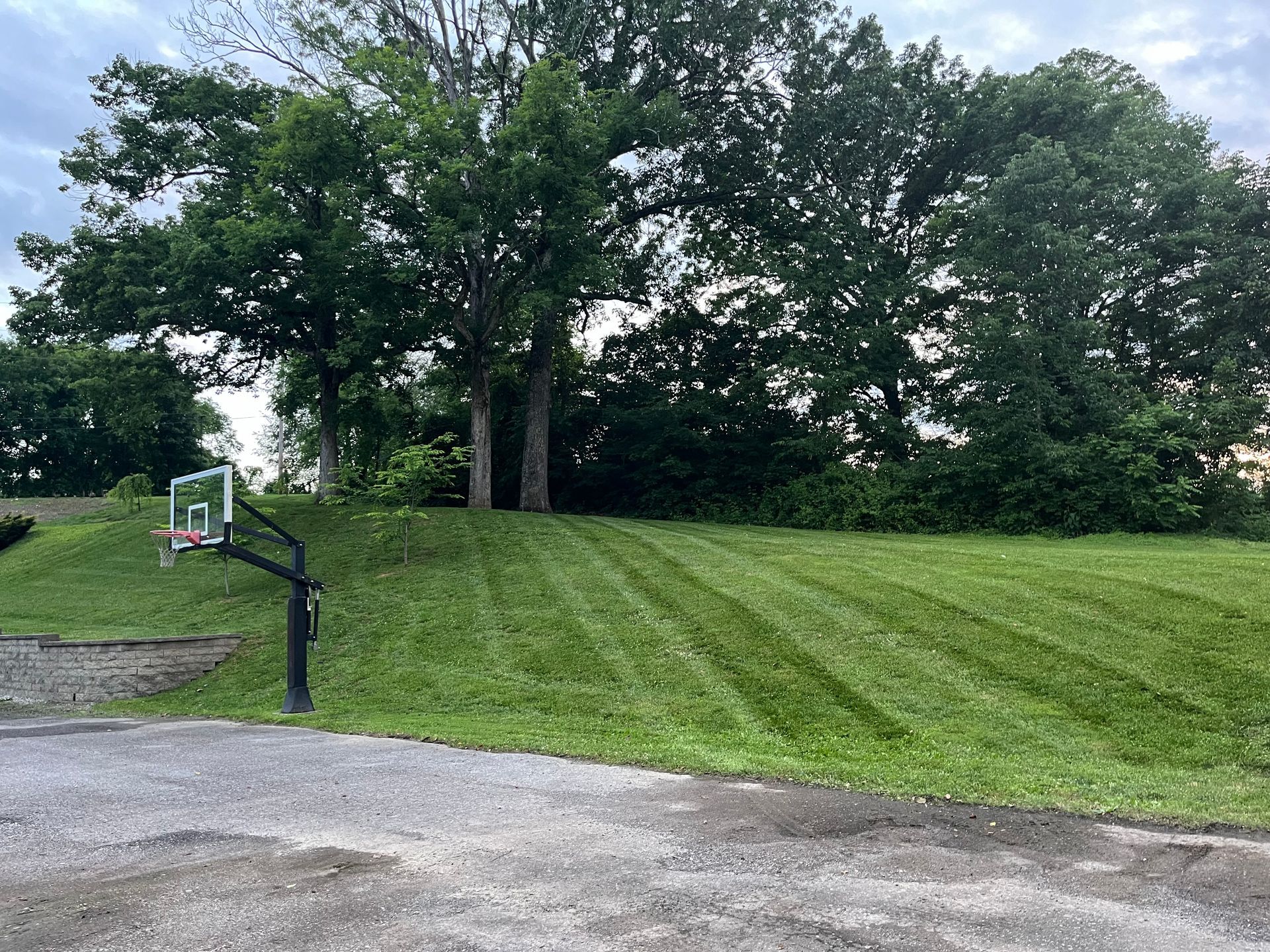 A basketball hoop is sitting in the middle of a lush green field.