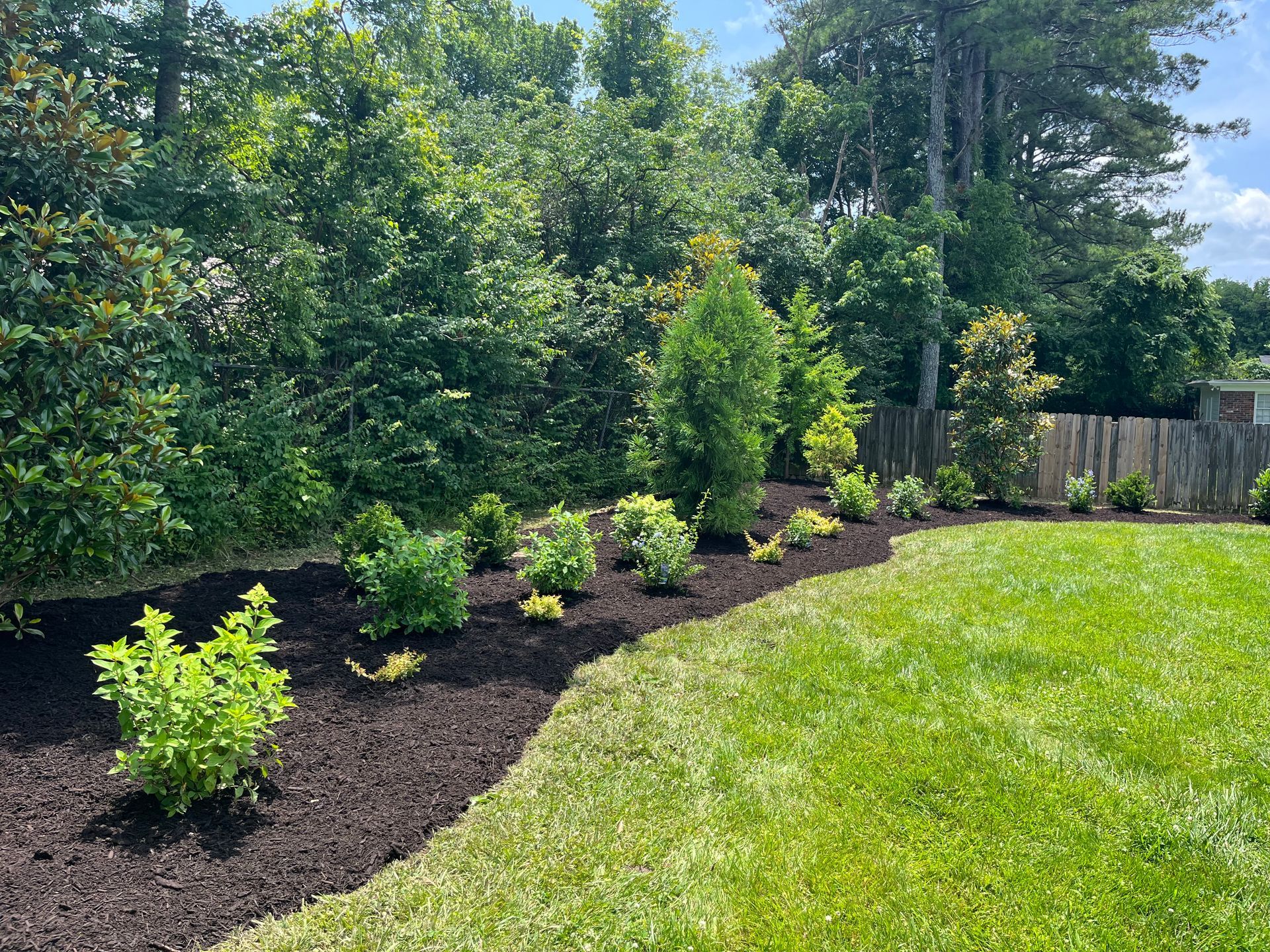 A lush green lawn with a fence and trees in the background.