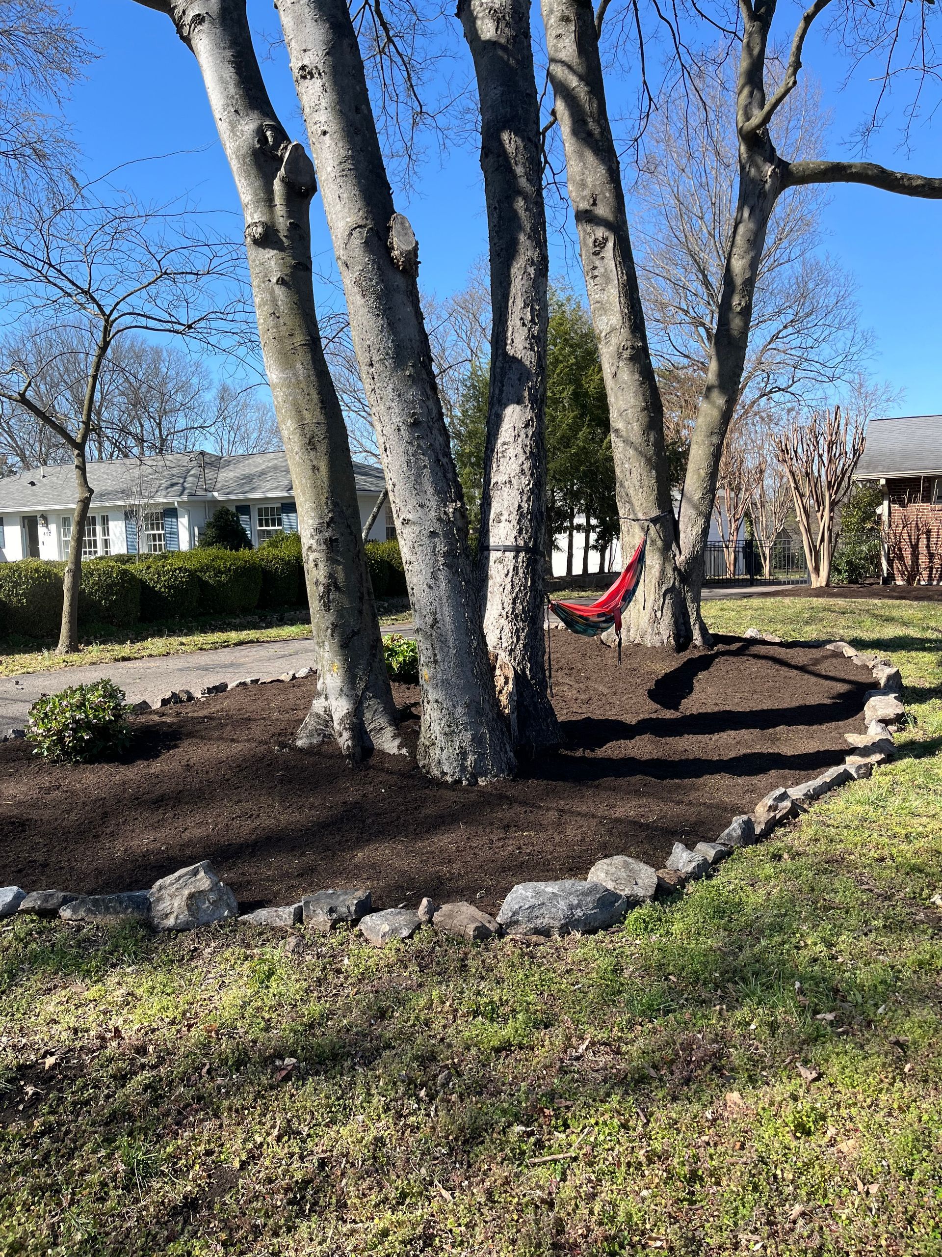 A hammock is hanging between two trees in a yard.