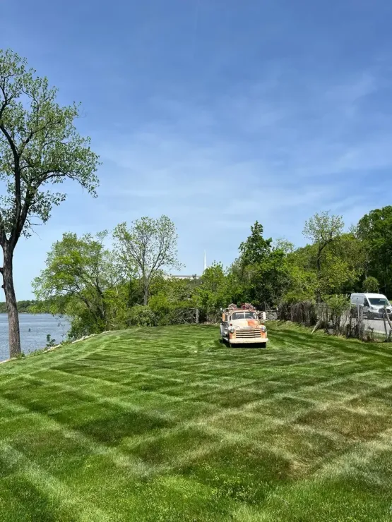 A house with a lot of windows is surrounded by trees