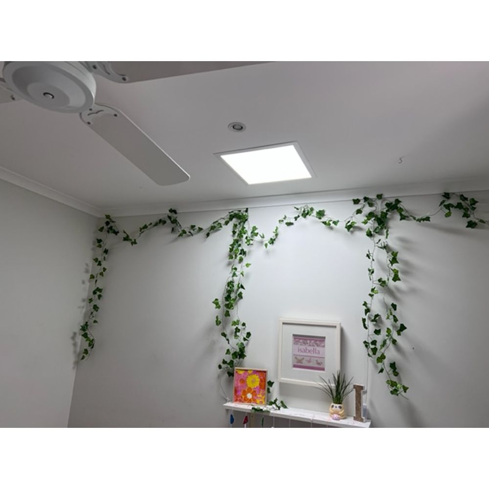 White room with ivy vines across the walls and ceiling, over a shelf with art and a framed picture.