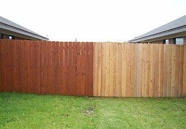 Fence Staining and Repair