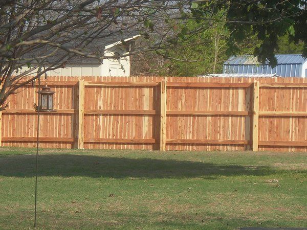 Full Native Cedar Privacy