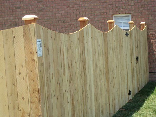 Scallop Privacy,Native Cedar Frame, White Cedar Picket