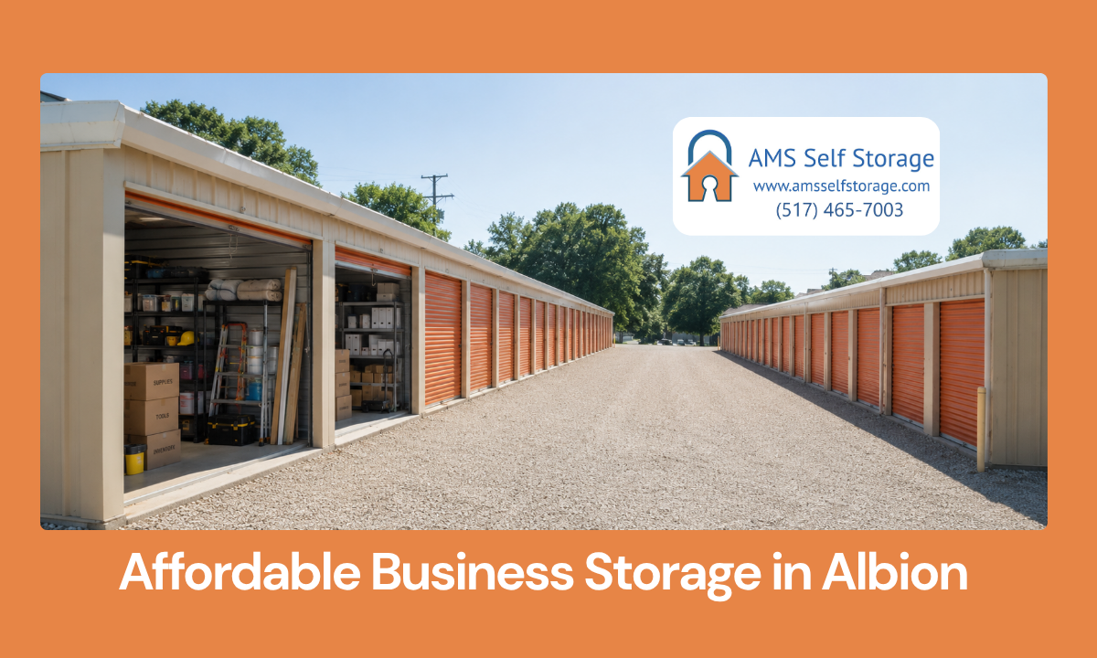 Business storage unit with shelves, tools, and labeled inventory boxes in Albion