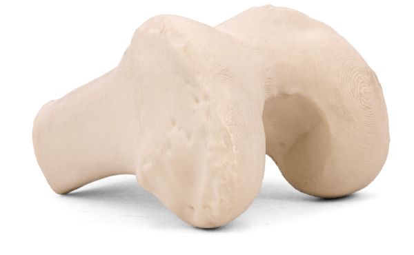 SimuBone™ Bone Modeling