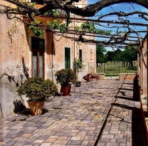 facciata casa rustica con vite a pergola