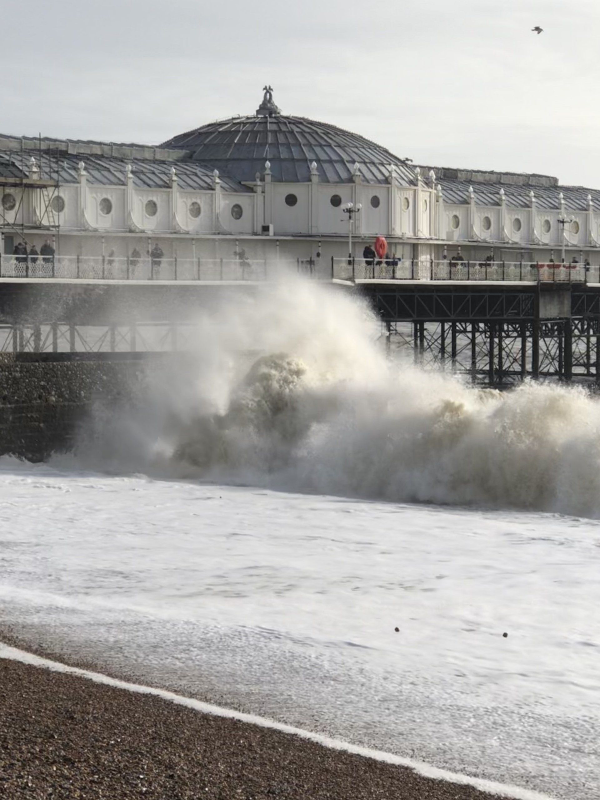 Counselling Brighton