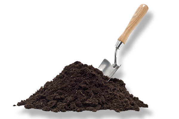 JARDINERÍA CORTES OROZCO