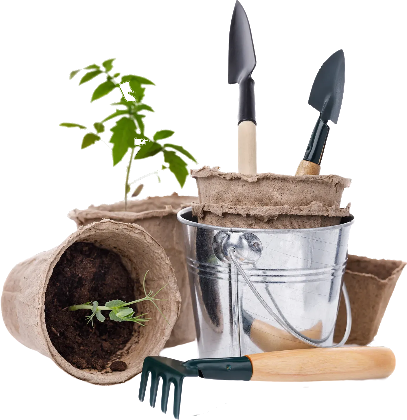 Plant garden Tools