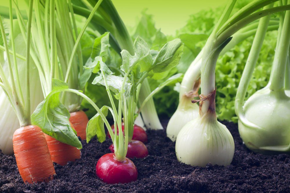 garden mixes