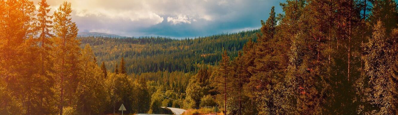 Uma casa no meio de uma floresta com montanhas ao fundo.