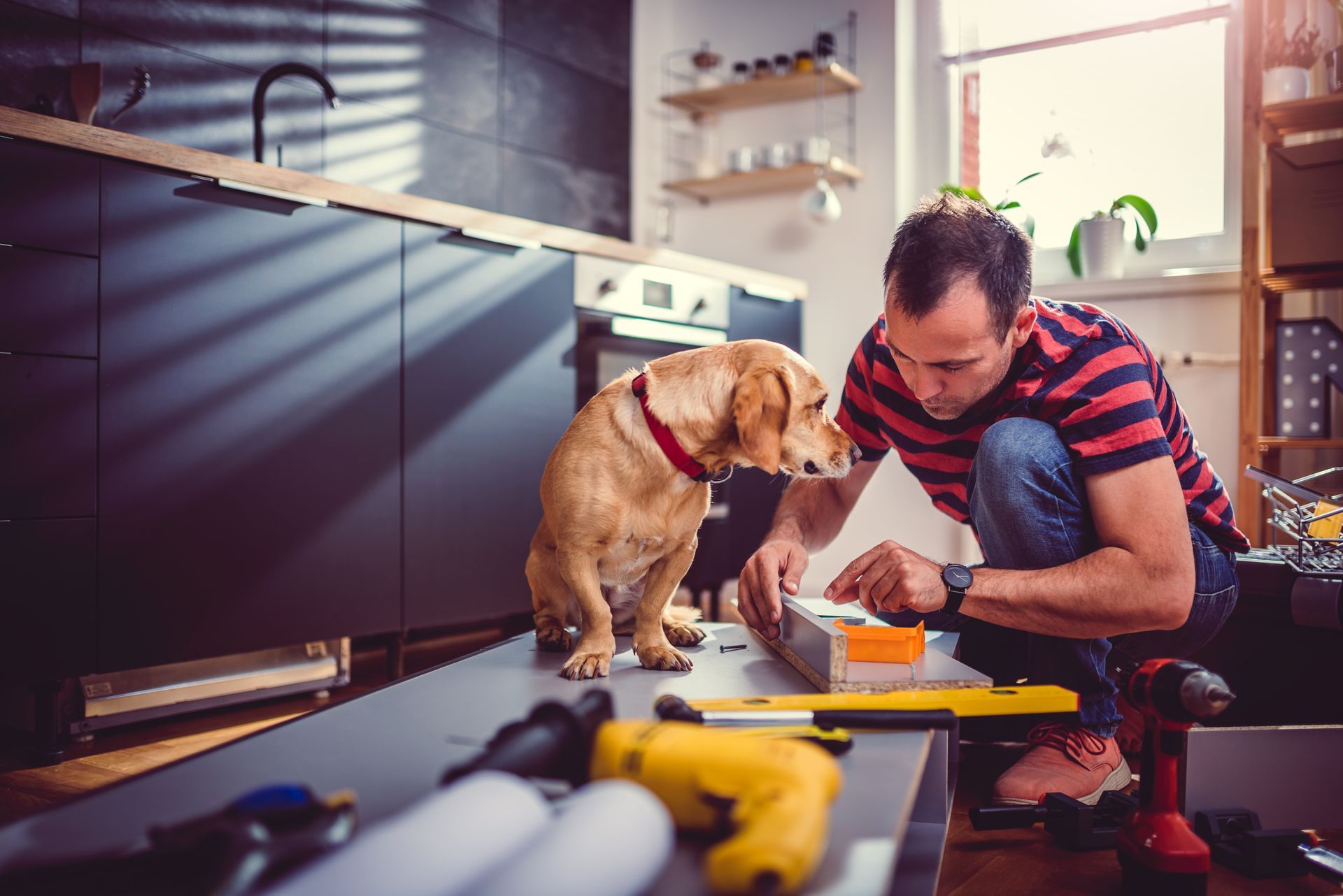 Een man bouwt een keuken, zijn hond kijkt toe.