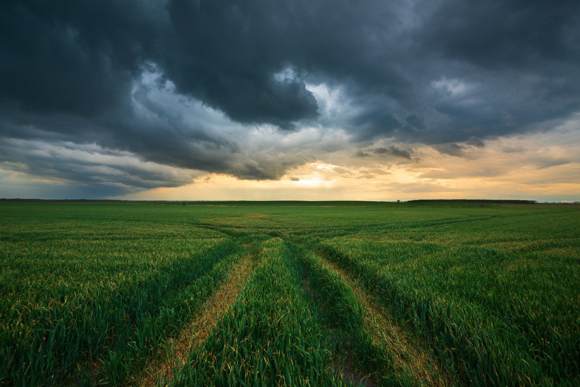 Storm boven een weiland