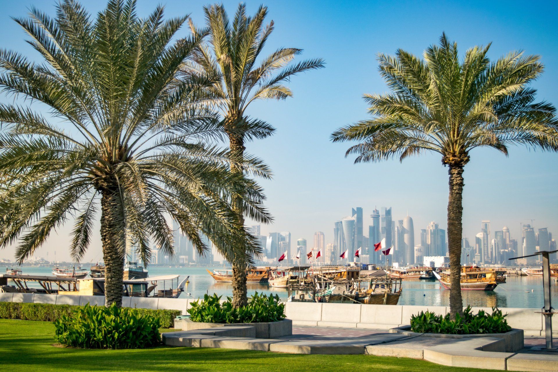 Palmbomen in schurkenstaat Qatar