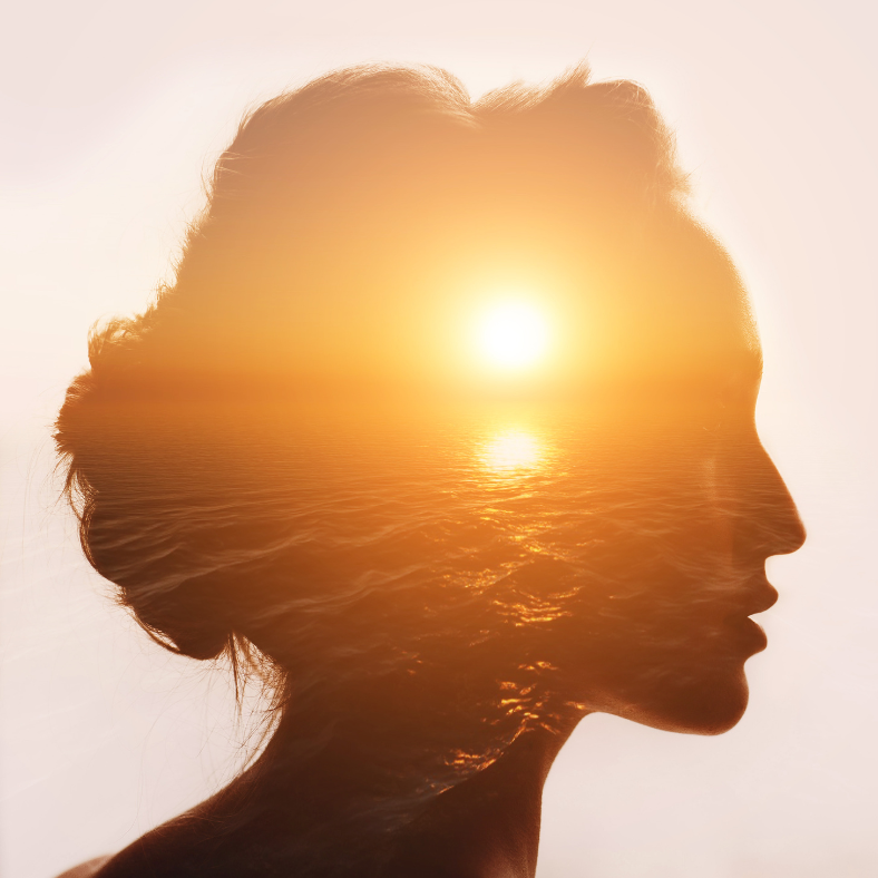 A silhouette of a woman 's head with the sun shining through her hair.