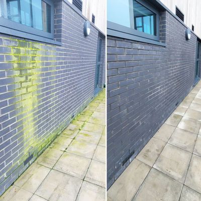 Before and after photo of a brick wall and patio cleaned, removing green algae growth.