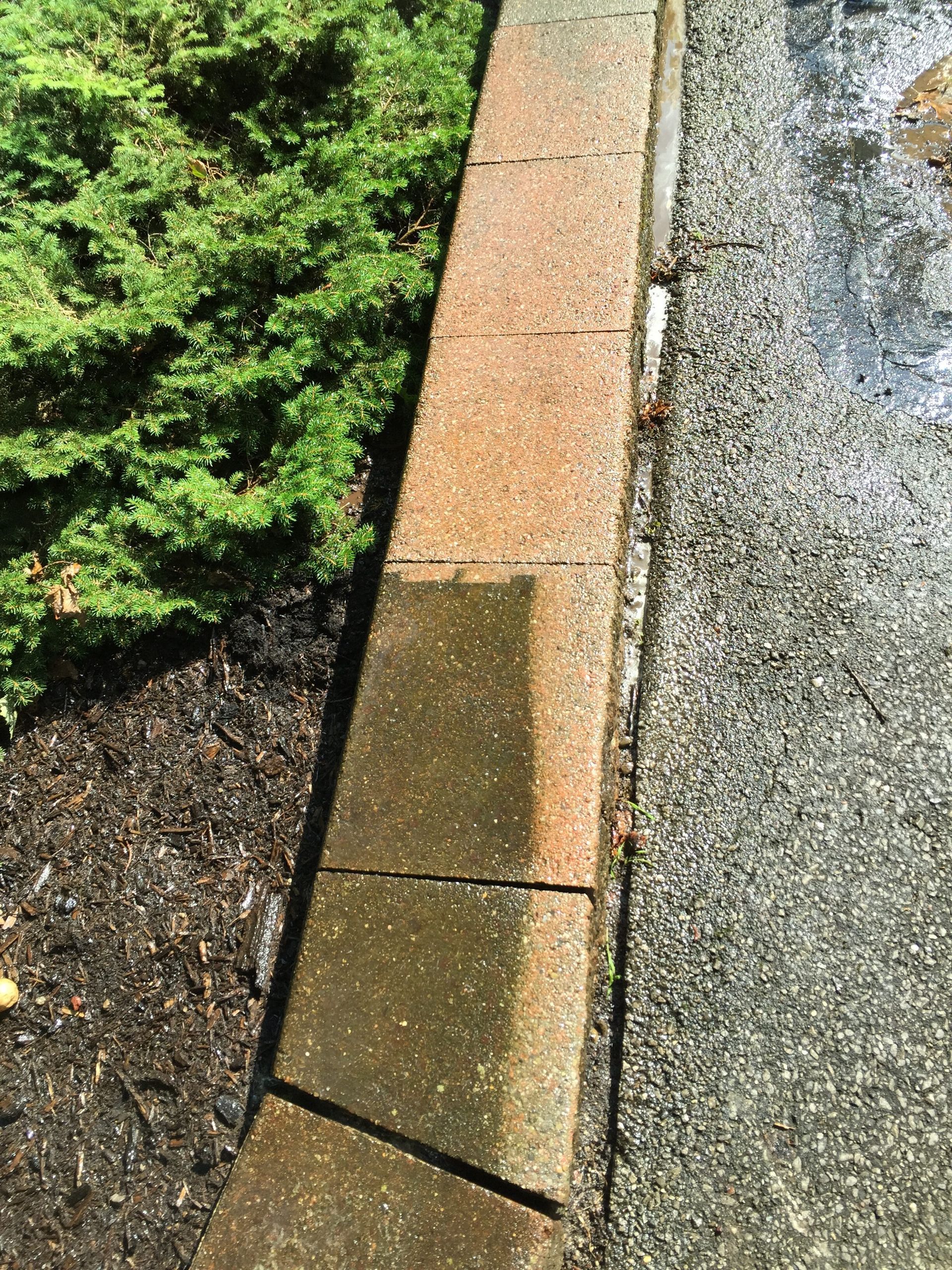 A stone border next to an asphalt driveway, with a green bush and mulch on the other side.