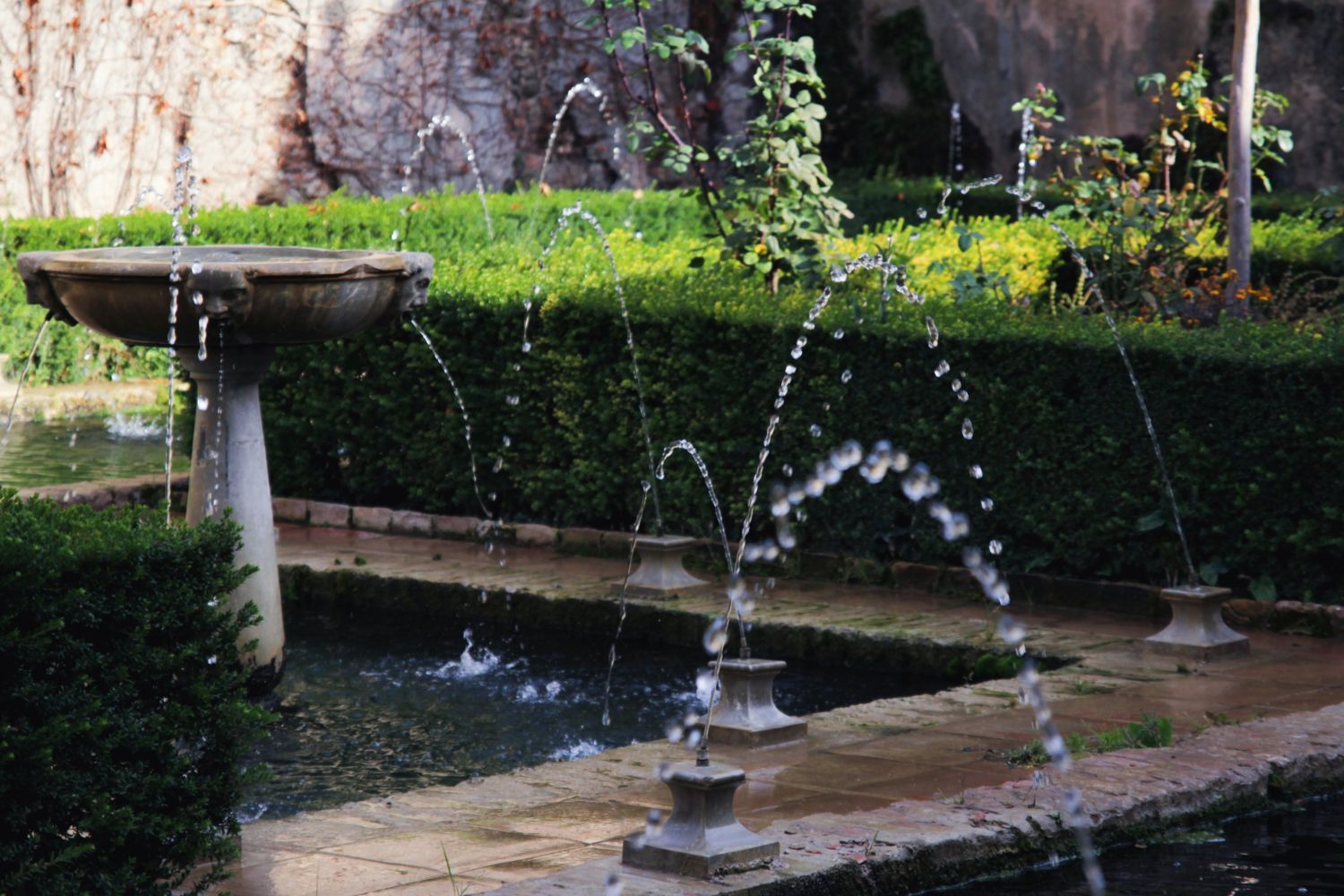 A fountain in a garden with water coming out of it