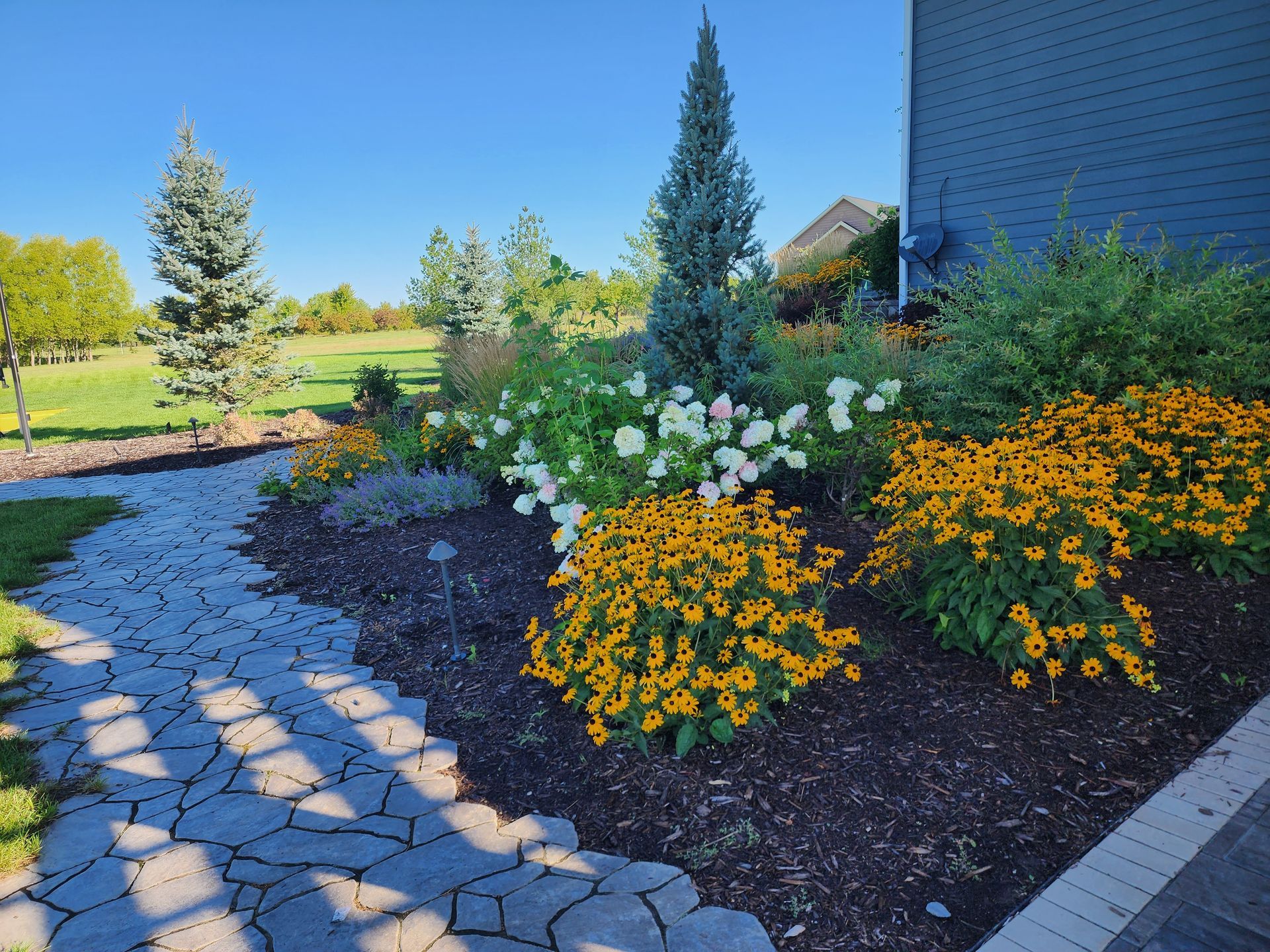 Stone path leads past flower bed with yellow and white blooms and small evergreen trees, sunny day.
