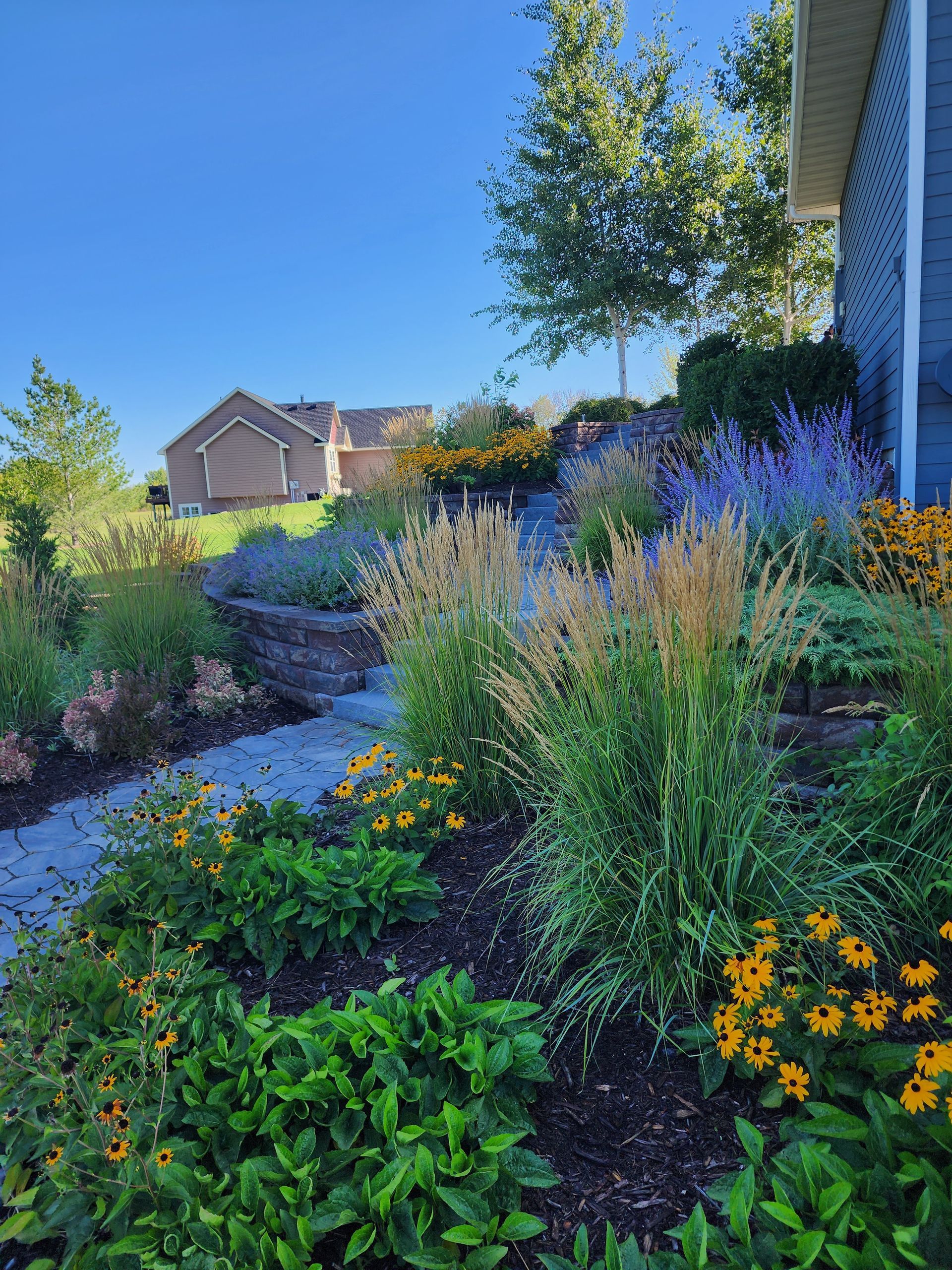 A sunny garden bed slopes up toward a house. Yellow and blue flowers bloom. A paved path leads through the garden.