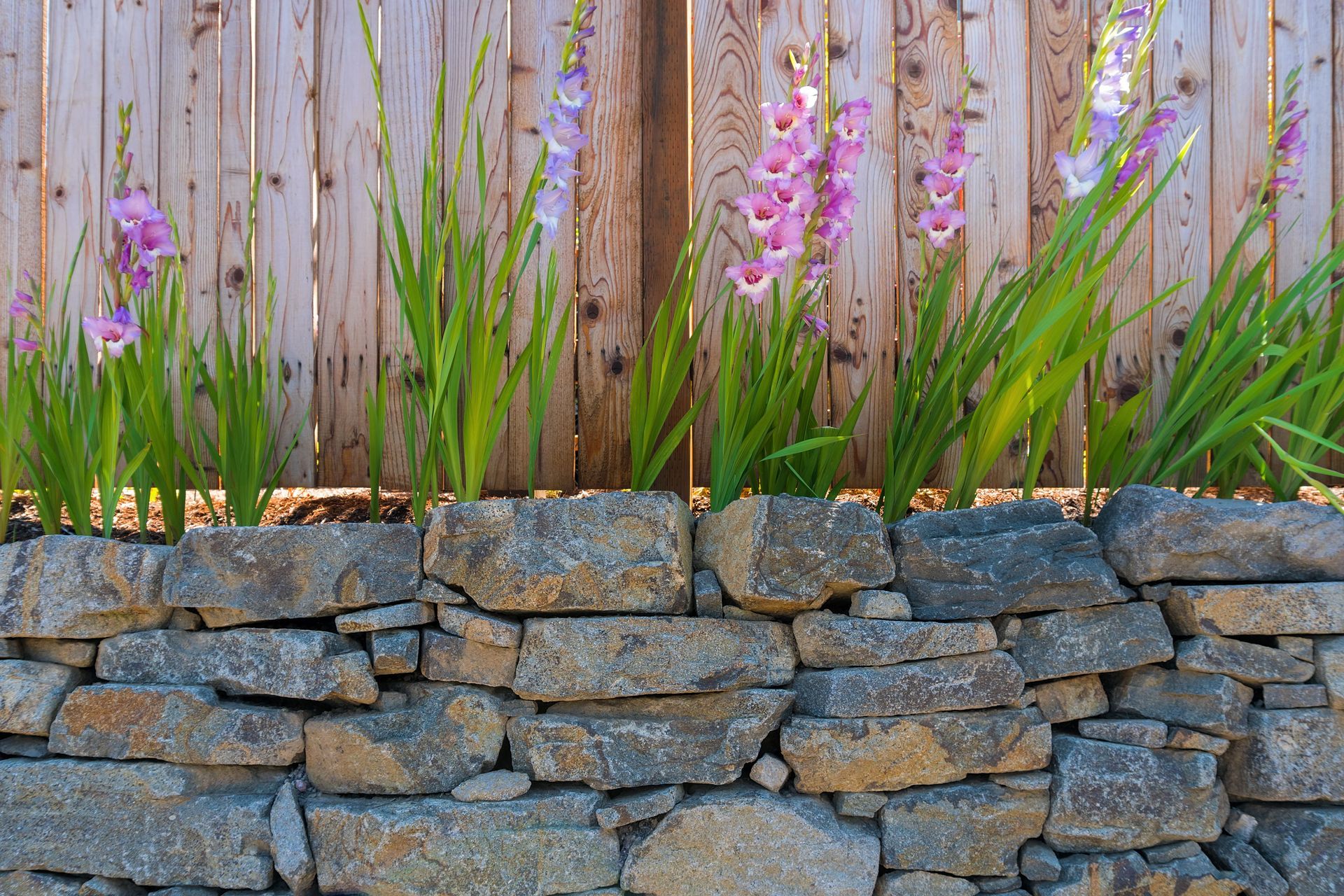 A stone wall with flowers growing on it in front of a wooden fence.