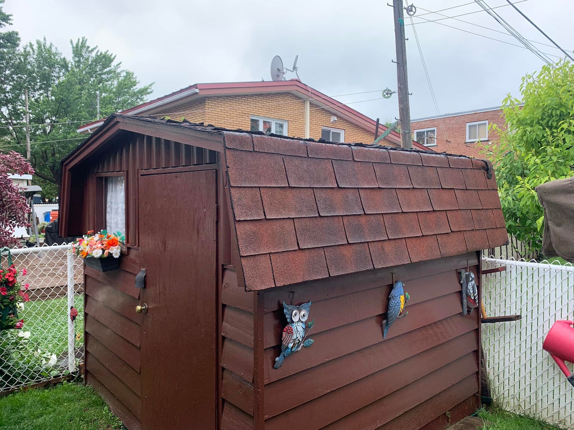 Un petit hangar en bois avec des hiboux sur le côté se trouve dans une arrière-cour.