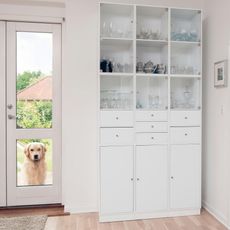 Golden retriever looks through glass door at white cabinet filled with glassware.