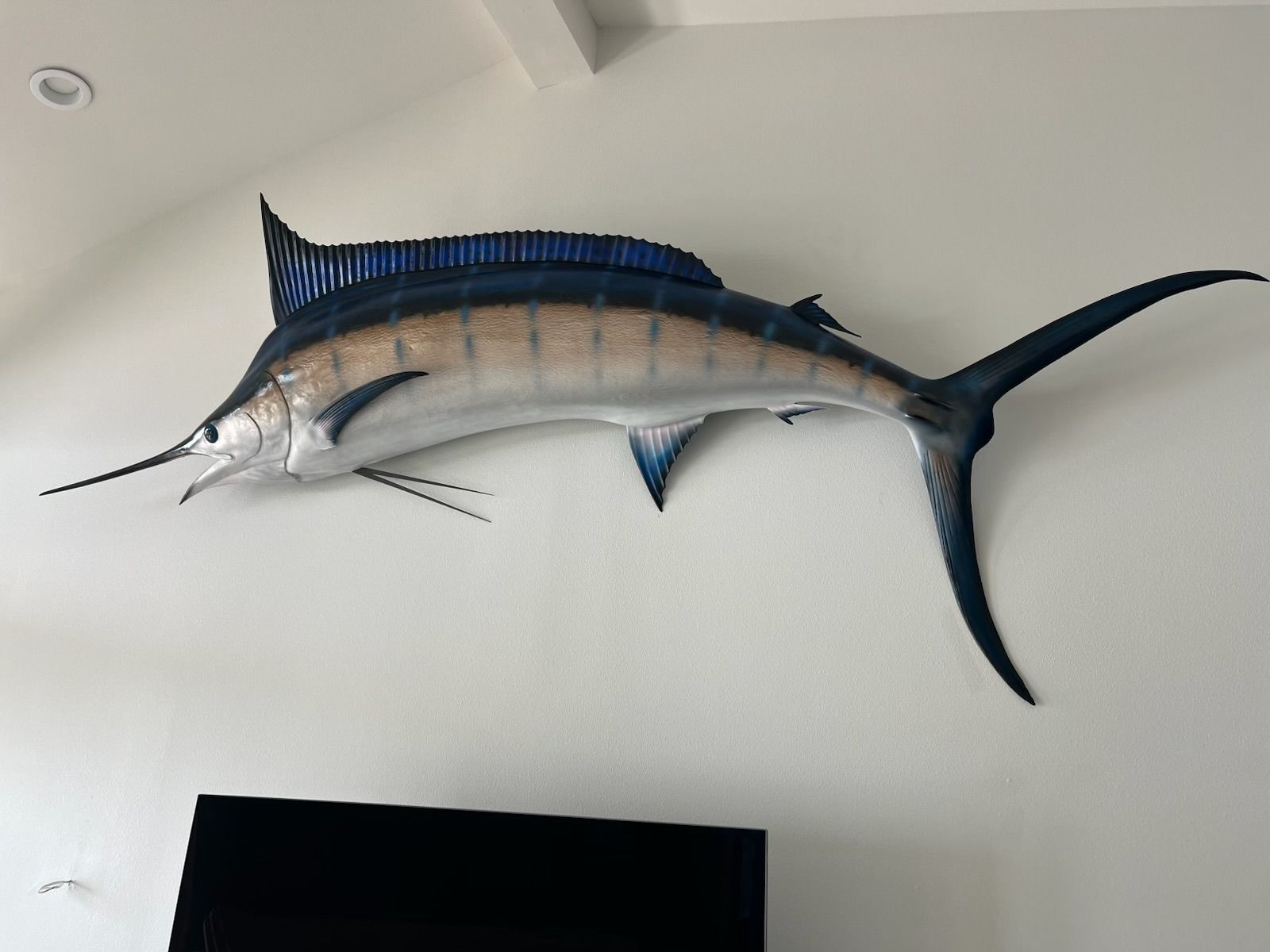 Rockport Moving Co, Rockport TX, Fulton TX, City-By-The Sea TX, Aransas Pass TX, Ingleside TX, Portland TX, Port Aransas TX, Mustang Island TX, Taft TX, Taft Southwest TX, Del Sol-Loma Linda TX, Rancho Chico TX, Corpus Christi TX, Central City Corpus Christi TX, Calallen Corpus Christi TX, South Side Corpus Christi TX, Bay Area Corpus Christi TX, Flour Bluff Corpus Christi TX, Sinton TX, Gregory TX, Moving Company, Moving Company Near Me, Rockport Moving Company, Fulton Moving Company, City-By-The Sea Moving Company, Aransas Pass Moving Company, Ingleside Moving Company, Portland Moving Company, Port Aransas Moving Company, Mustang Island Moving Company, Taft Moving Company, Taft Southwest Moving Company, Del Sol-Loma Linda Moving Company, Rancho Chico Moving Company, Corpus Christi Moving Company, Sinton Moving Company, Gregory Moving Company, Movers Near Me, Local Moving Company, Local Movers, Long Distance Moving, Long Distance Movers, Full Service Moves, House Movers, Apartment Movers, Office Movers, Commercial Moving Company, Packing Services, Wrapping Services, Furniture Moving, Transportation, Loading, Unloading