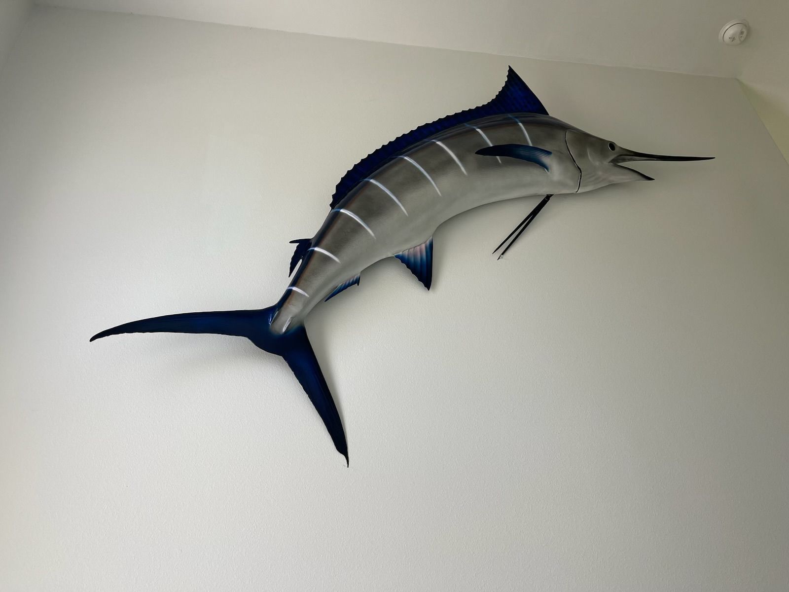 Rockport Moving Co, Rockport TX, Fulton TX, City-By-The Sea TX, Aransas Pass TX, Ingleside TX, Portland TX, Port Aransas TX, Mustang Island TX, Taft TX, Taft Southwest TX, Del Sol-Loma Linda TX, Rancho Chico TX, Corpus Christi TX, Central City Corpus Christi TX, Calallen Corpus Christi TX, South Side Corpus Christi TX, Bay Area Corpus Christi TX, Flour Bluff Corpus Christi TX, Sinton TX, Gregory TX, Moving Company, Moving Company Near Me, Rockport Moving Company, Fulton Moving Company, City-By-The Sea Moving Company, Aransas Pass Moving Company, Ingleside Moving Company, Portland Moving Company, Port Aransas Moving Company, Mustang Island Moving Company, Taft Moving Company, Taft Southwest Moving Company, Del Sol-Loma Linda Moving Company, Rancho Chico Moving Company, Corpus Christi Moving Company, Sinton Moving Company, Gregory Moving Company, Movers Near Me, Local Moving Company, Local Movers, Long Distance Moving, Long Distance Movers, Full Service Moves, House Movers, Apartment Movers, Office Movers, Commercial Moving Company, Packing Services, Wrapping Services, Furniture Moving, Transportation, Loading, Unloading