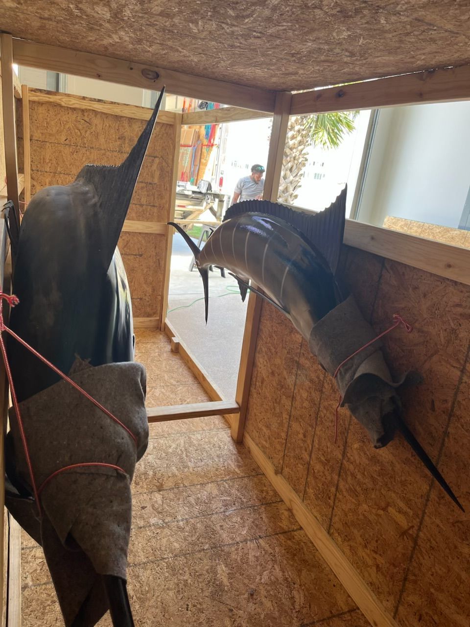 Rockport Moving Co, Rockport TX, Fulton TX, City-By-The Sea TX, Aransas Pass TX, Ingleside TX, Portland TX, Port Aransas TX, Mustang Island TX, Taft TX, Taft Southwest TX, Del Sol-Loma Linda TX, Rancho Chico TX, Corpus Christi TX, Central City Corpus Christi TX, Calallen Corpus Christi TX, South Side Corpus Christi TX, Bay Area Corpus Christi TX, Flour Bluff Corpus Christi TX, Sinton TX, Gregory TX, Moving Company, Moving Company Near Me, Rockport Moving Company, Fulton Moving Company, City-By-The Sea Moving Company, Aransas Pass Moving Company, Ingleside Moving Company, Portland Moving Company, Port Aransas Moving Company, Mustang Island Moving Company, Taft Moving Company, Taft Southwest Moving Company, Del Sol-Loma Linda Moving Company, Rancho Chico Moving Company, Corpus Christi Moving Company, Sinton Moving Company, Gregory Moving Company, Movers Near Me, Local Moving Company, Local Movers, Long Distance Moving, Long Distance Movers, Full Service Moves, House Movers, Apartment Movers, Office Movers, Commercial Moving Company, Packing Services, Wrapping Services, Furniture Moving, Transportation, Loading, Unloading