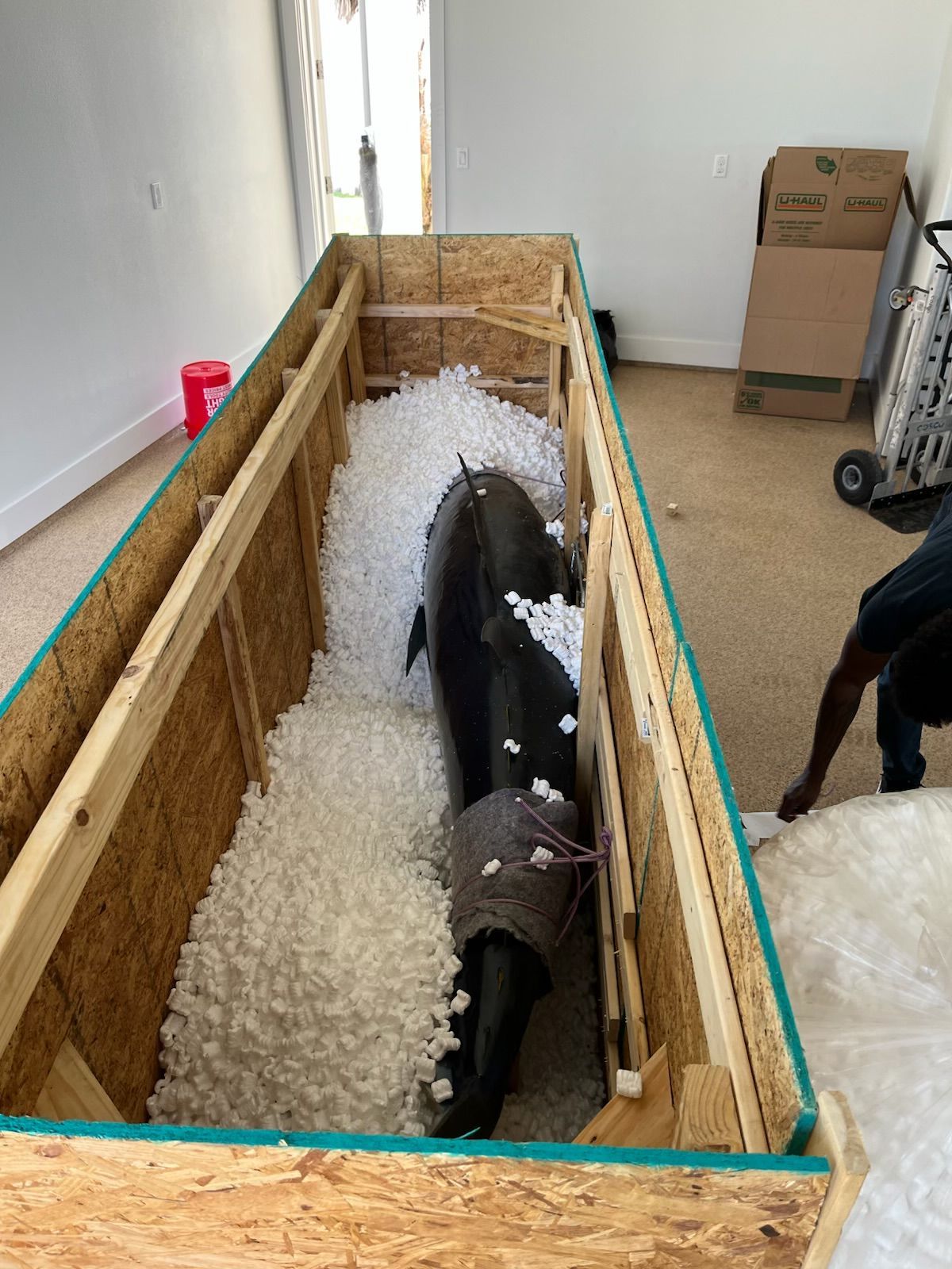 Rockport Moving Co, Rockport TX, Fulton TX, City-By-The Sea TX, Aransas Pass TX, Ingleside TX, Portland TX, Port Aransas TX, Mustang Island TX, Taft TX, Taft Southwest TX, Del Sol-Loma Linda TX, Rancho Chico TX, Corpus Christi TX, Central City Corpus Christi TX, Calallen Corpus Christi TX, South Side Corpus Christi TX, Bay Area Corpus Christi TX, Flour Bluff Corpus Christi TX, Sinton TX, Gregory TX, Moving Company, Moving Company Near Me, Rockport Moving Company, Fulton Moving Company, City-By-The Sea Moving Company, Aransas Pass Moving Company, Ingleside Moving Company, Portland Moving Company, Port Aransas Moving Company, Mustang Island Moving Company, Taft Moving Company, Taft Southwest Moving Company, Del Sol-Loma Linda Moving Company, Rancho Chico Moving Company, Corpus Christi Moving Company, Sinton Moving Company, Gregory Moving Company, Movers Near Me, Local Moving Company, Local Movers, Long Distance Moving, Long Distance Movers, Full Service Moves, House Movers, Apartment Movers, Office Movers, Commercial Moving Company, Packing Services, Wrapping Services, Furniture Moving, Transportation, Loading, Unloading