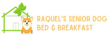 Raquel’s Senior Dog Bed & Breakfast