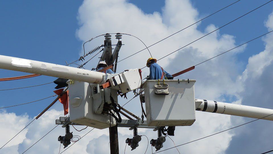Contractor  — Repairing Powerline Damage in Stevens, WA