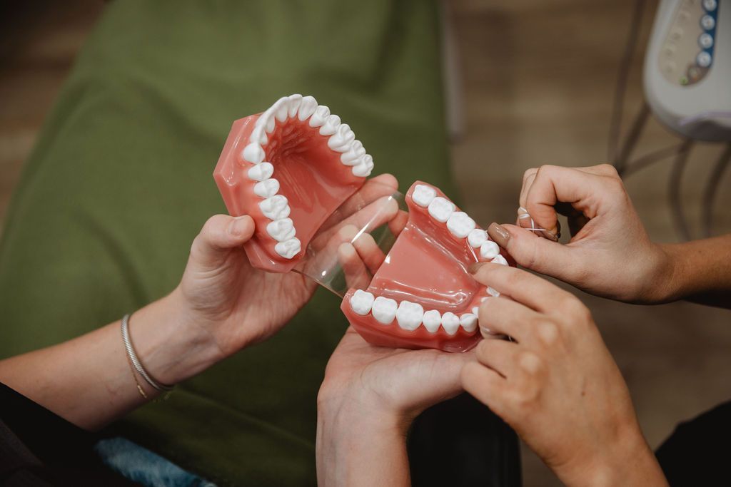 Two people holding and pointing at large plastic dental models, showing teeth.