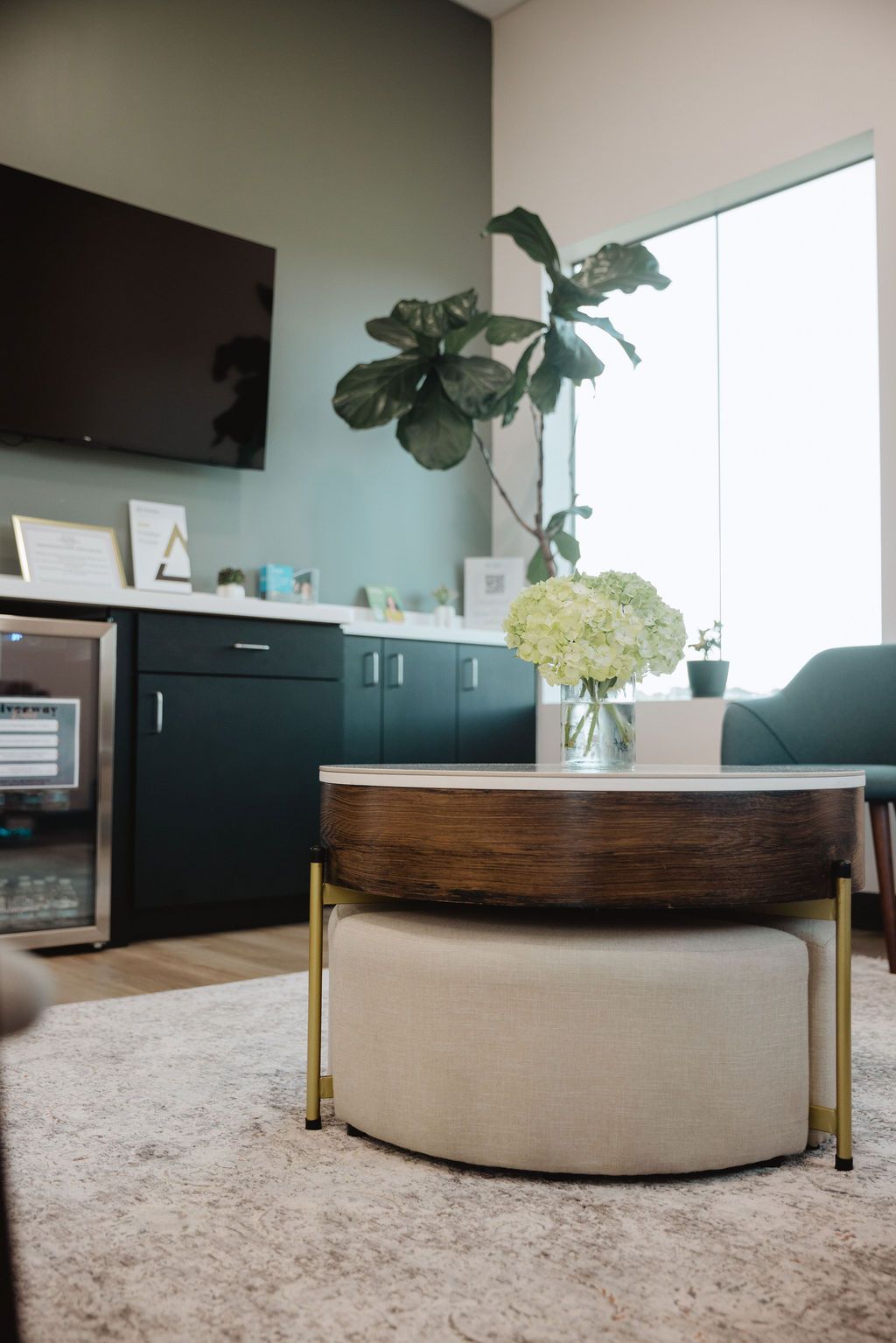 A modern waiting room with a round coffee table, a potted plant, and a large window.