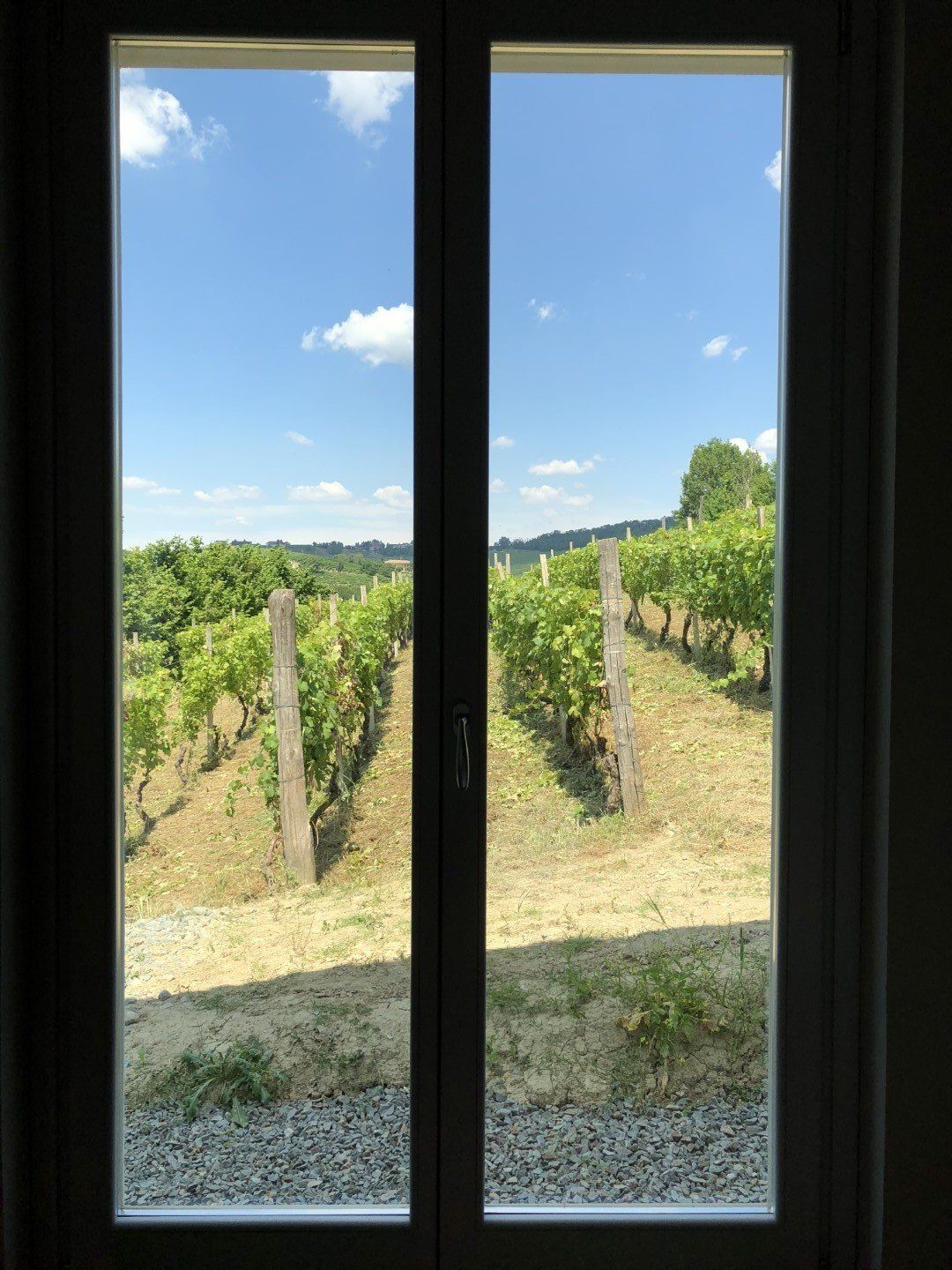 Blick aus dem Ferienhaus auf die sonnenverwöhnten Weinreben im Piemont