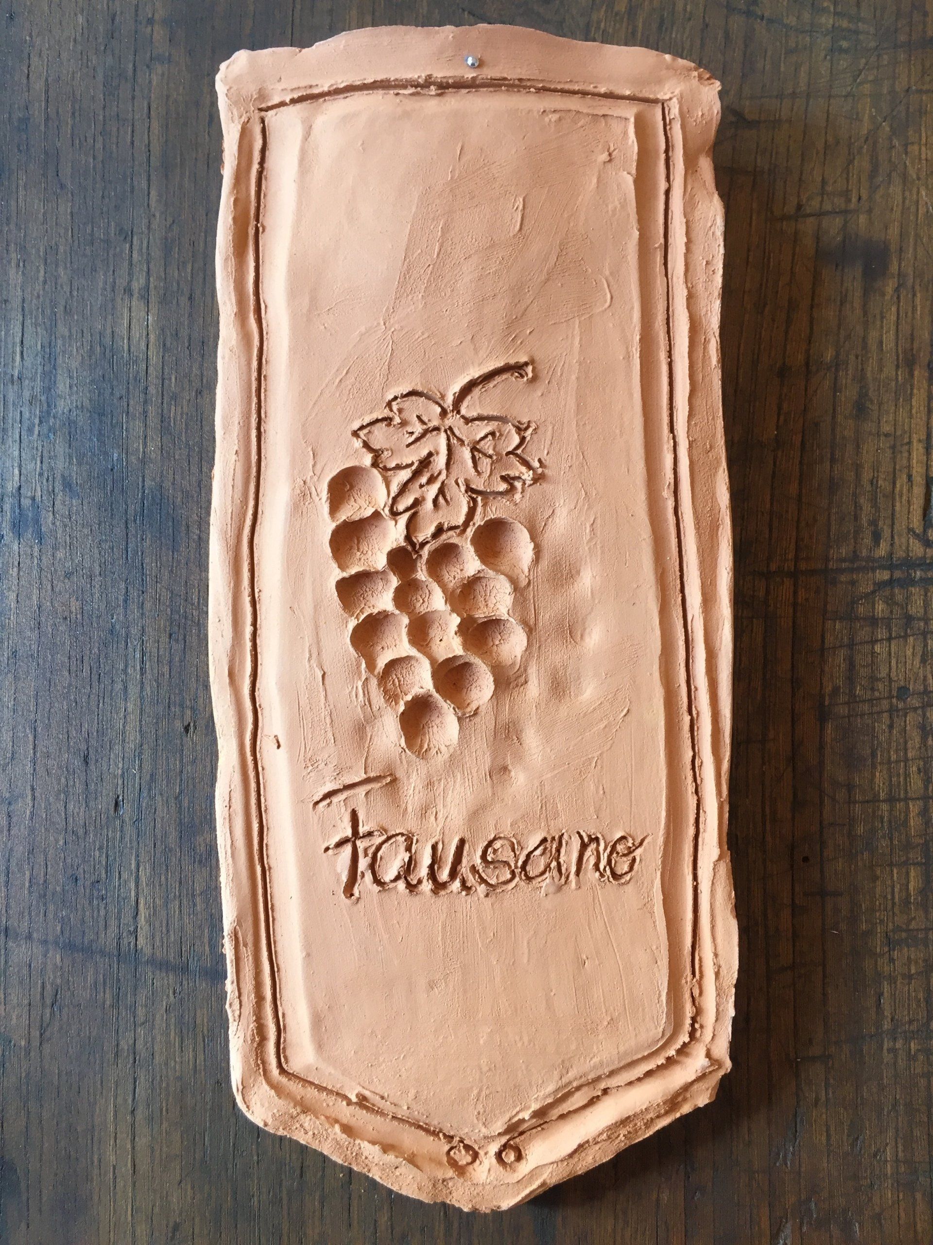 Darstellung der Fausano Weintraubenrebe