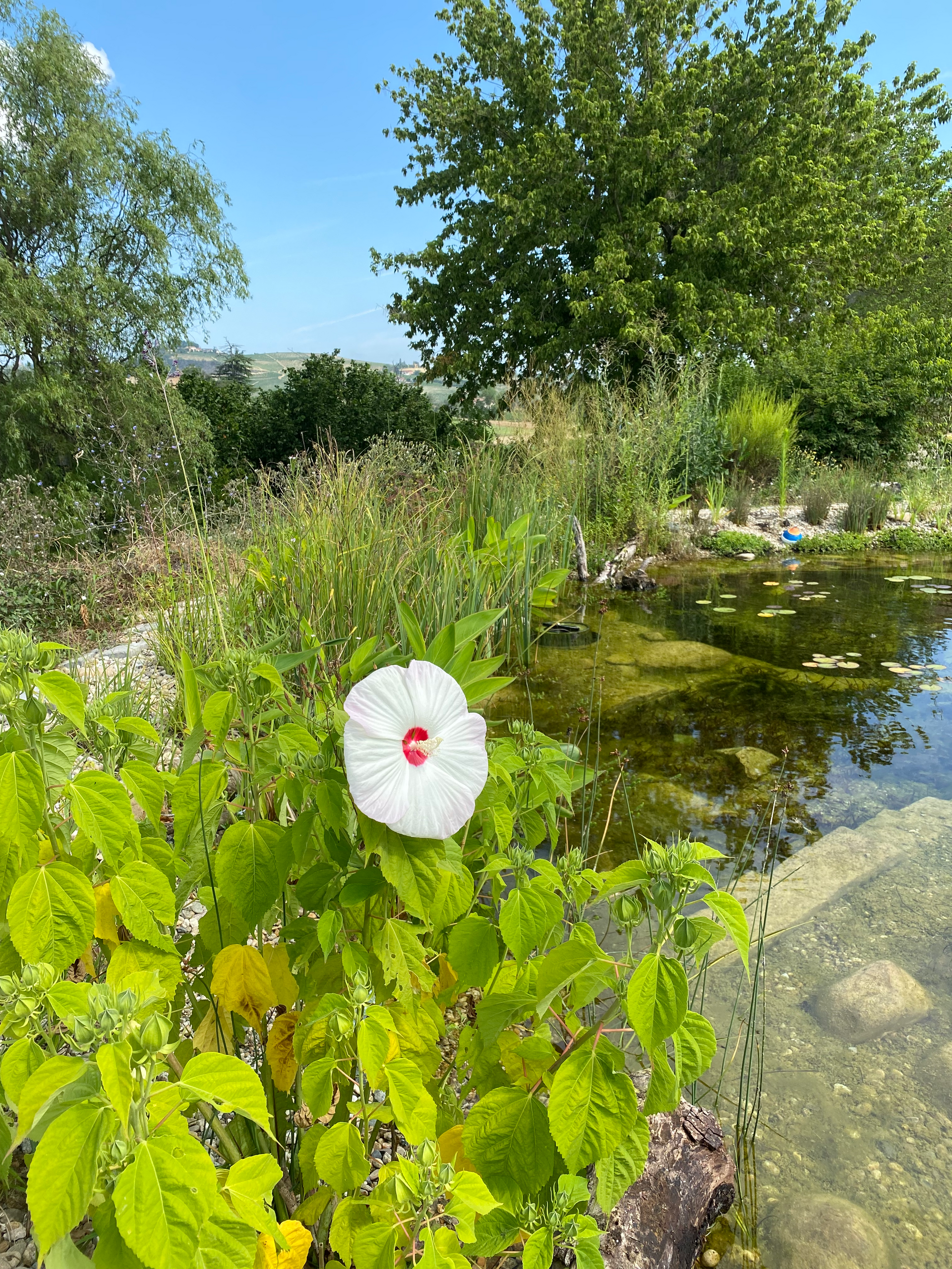 Flora und Fauna rund um das Ferienhaus im Piemont