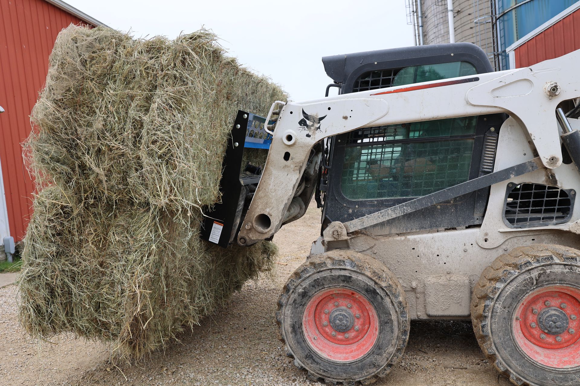 A bobcat is carrying a large bale of hay.