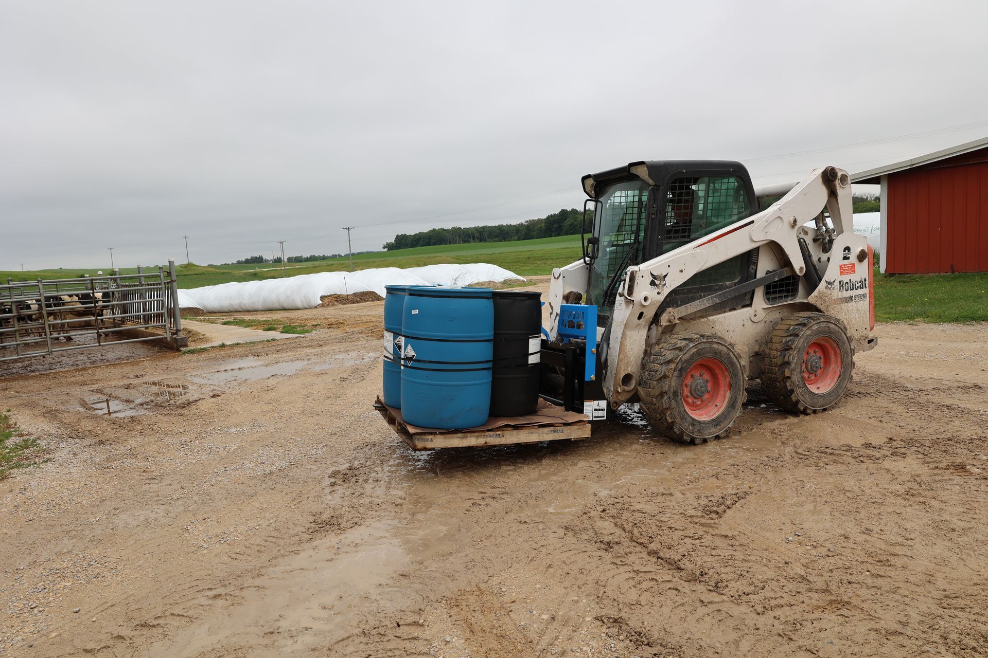 A bobcat is carrying barrels on a pallet in a dirt field.