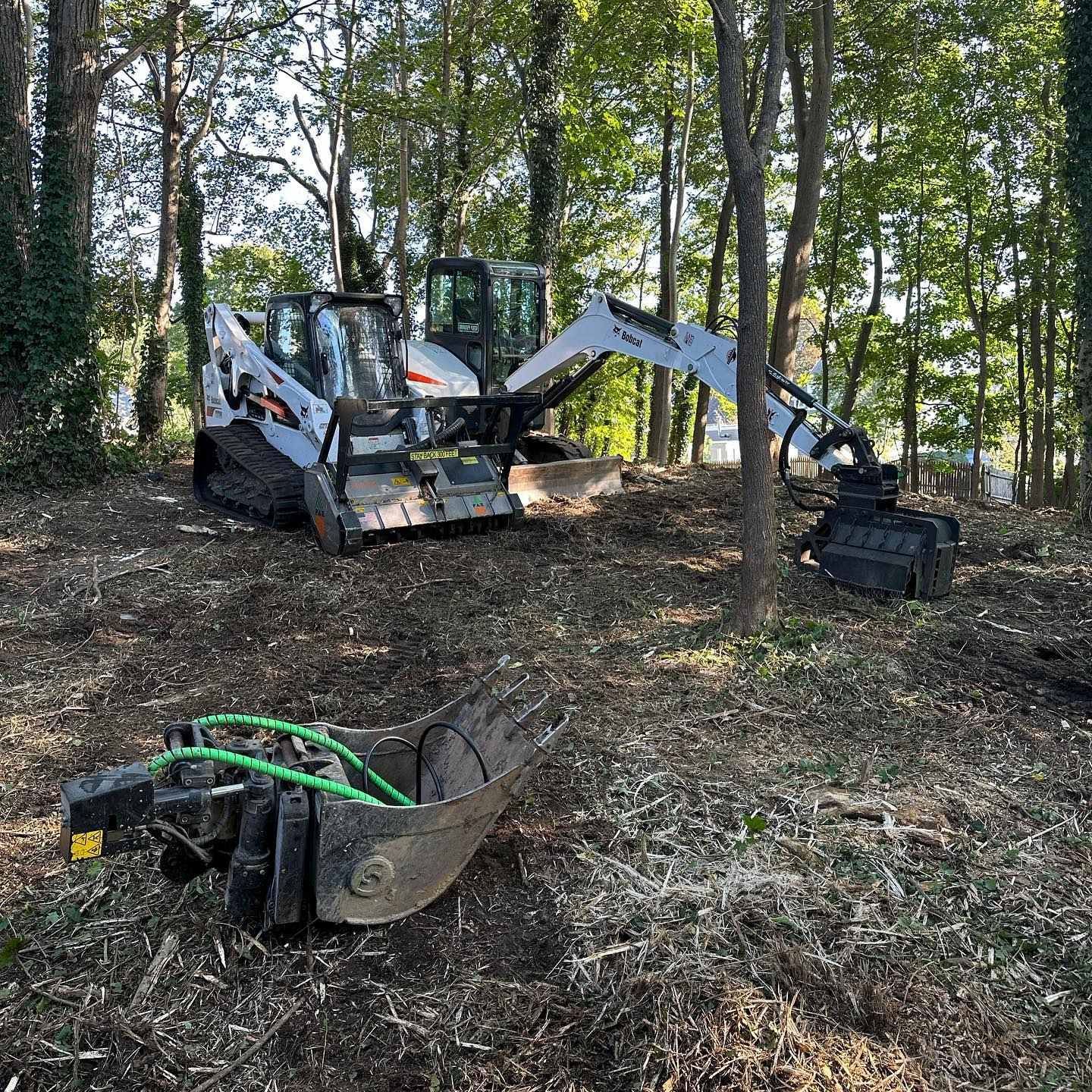 Bobcat skid-steer with a tree shear attachment clearing brush in a wooded area.