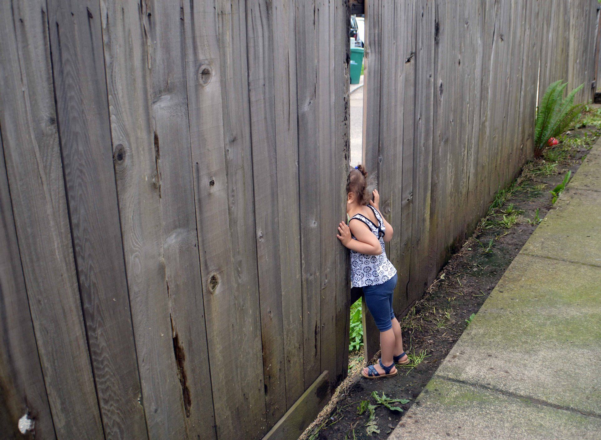 Fence Repair Milwaukee