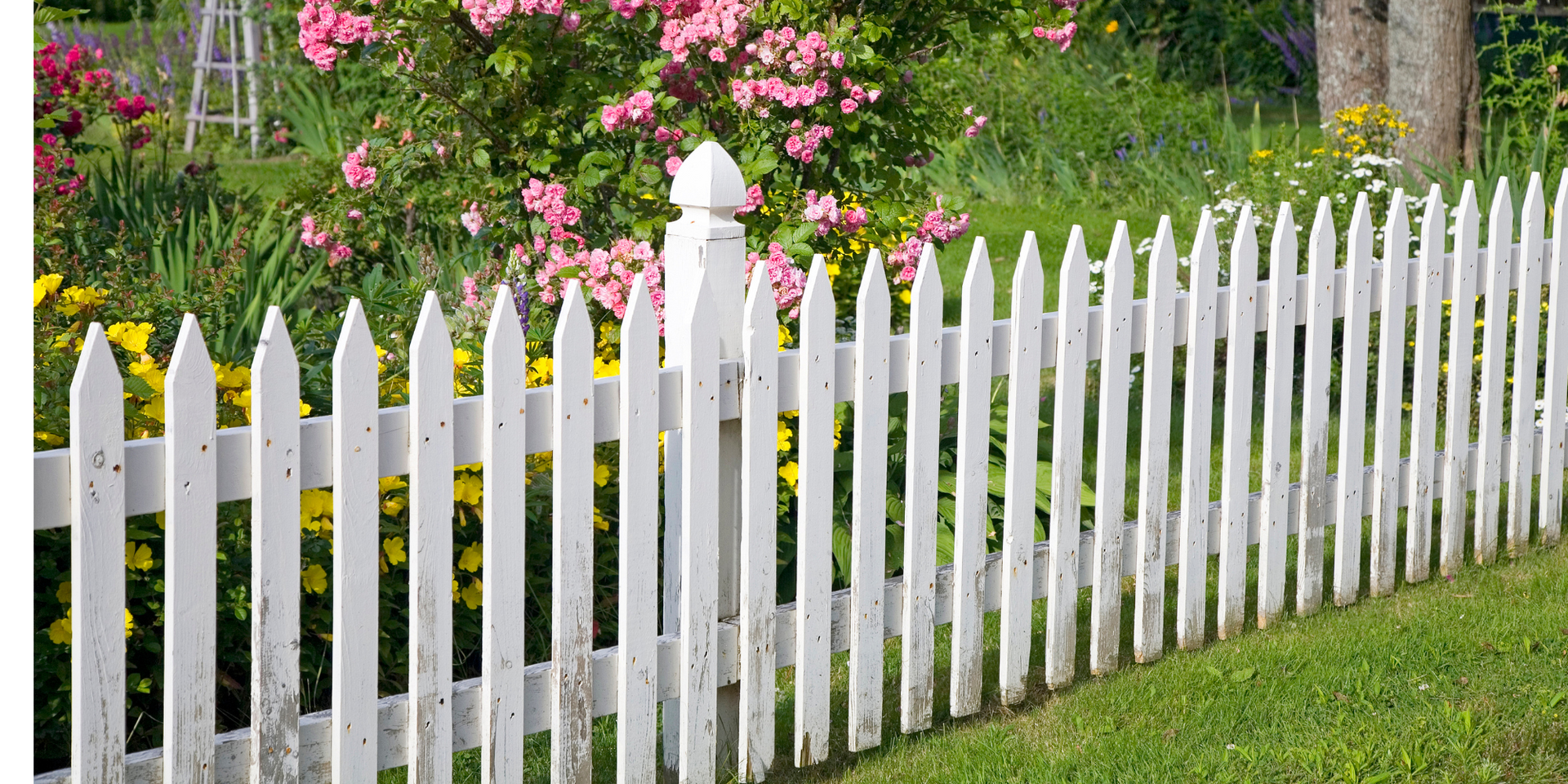 A white picket fence surrounds a garden with pink flowers.