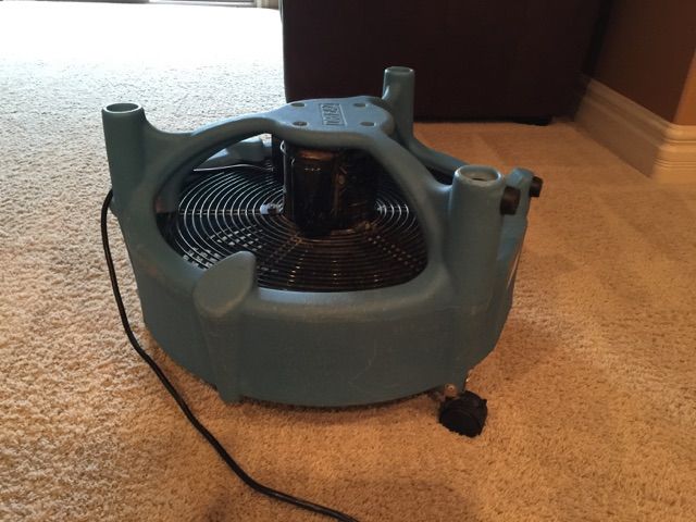 A blue fan is sitting on a carpeted floor